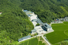 财产研究 · 冰雪容九华黄精财产成长劣势解析